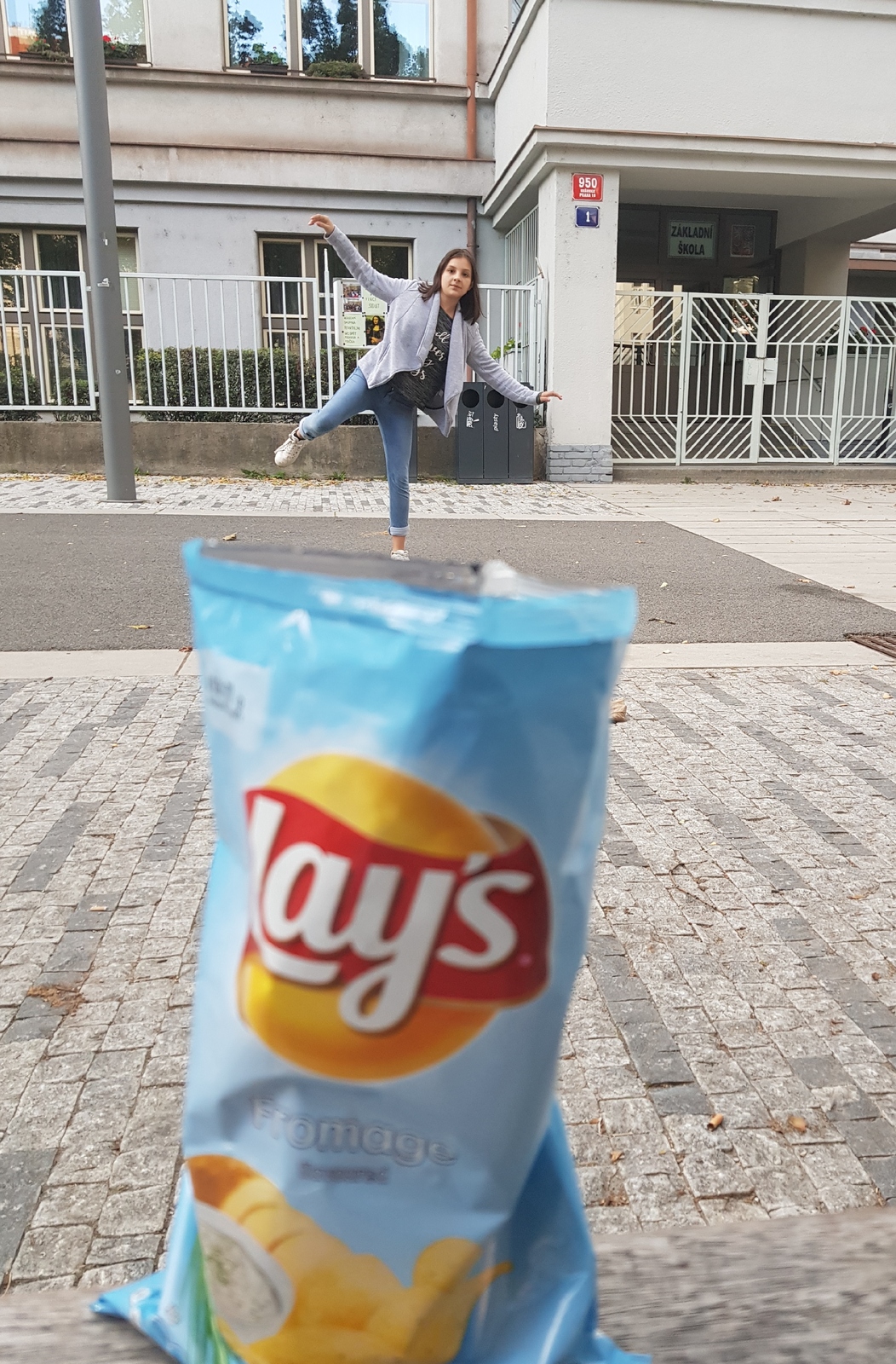 ZARI_bibilova_lays.jpg